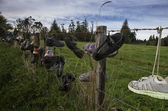 nz09