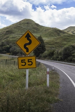 nz15