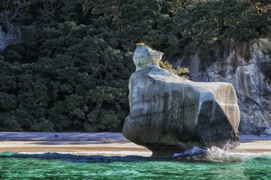 nz22
