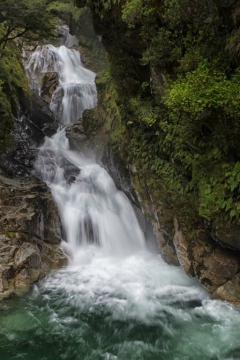 nz32